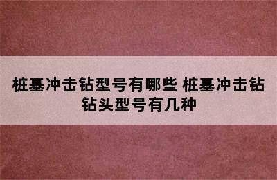 桩基冲击钻型号有哪些 桩基冲击钻钻头型号有几种